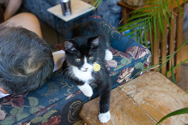 Misha_2008-07-10_IMG_0069